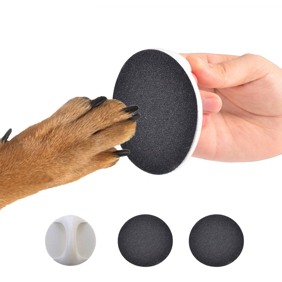 How to Trim Dog Nails Without Stress